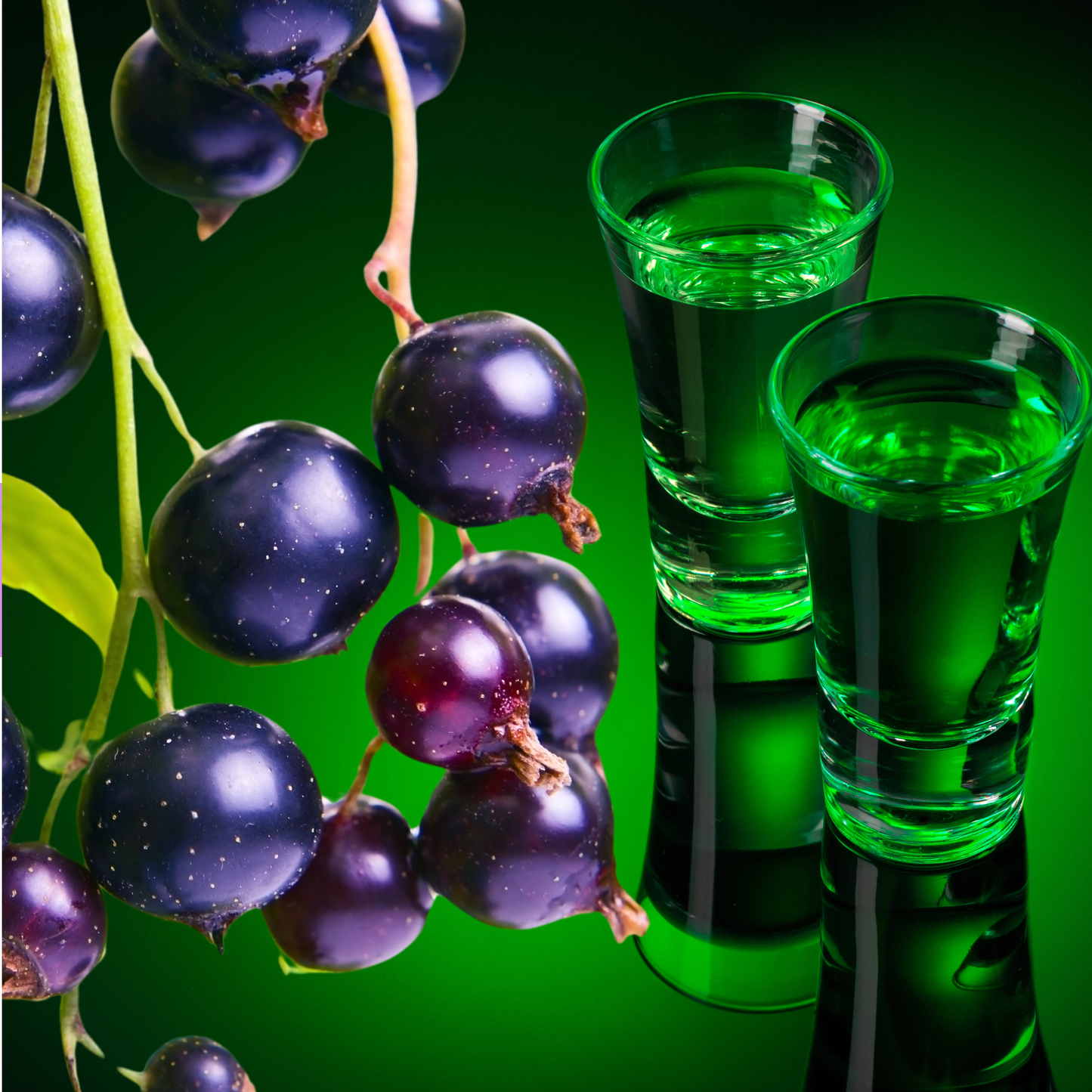 Blackberry Absinthe