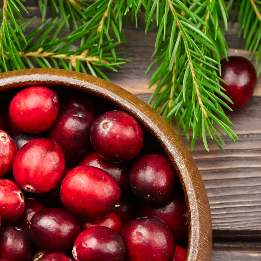 Cranberries in a wood bowl with a fir branch
