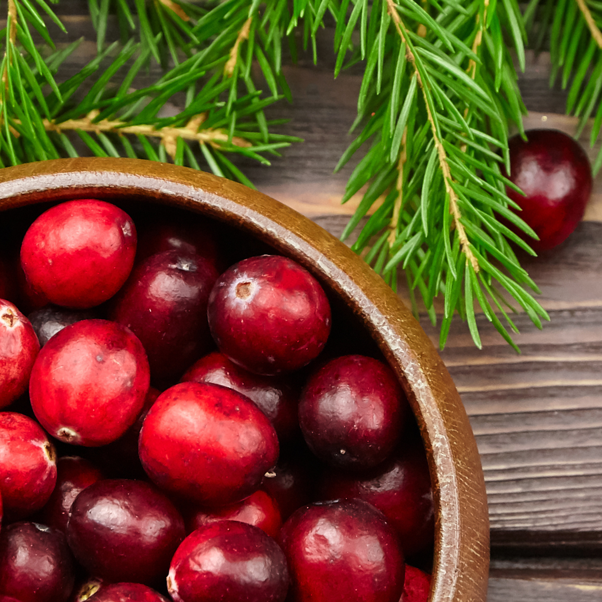 Cranberries in a wood bowl with pine needles